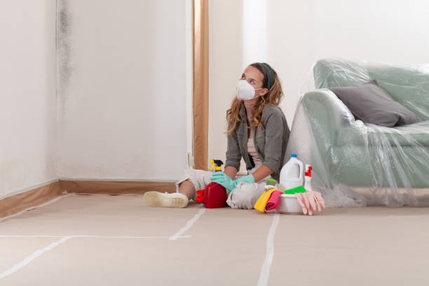 Reliable Mold Cleanup contractor in Universal City, TX by Cheap Mold Removal